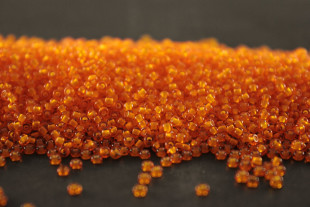 Бисер Чехия круглый 10/0 50г 95006